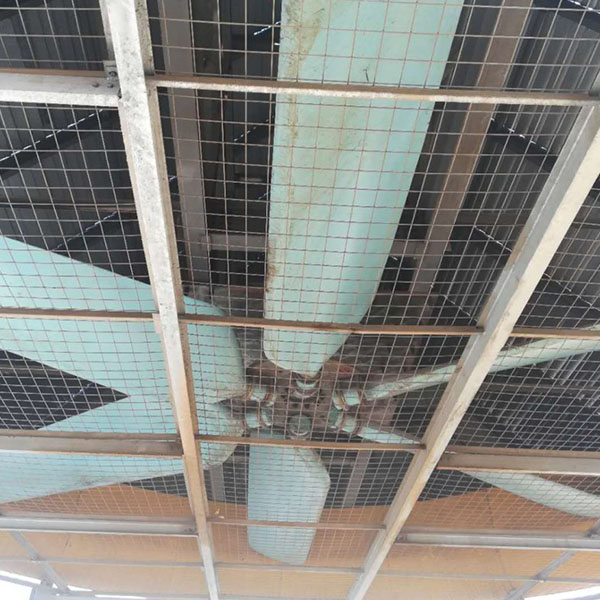 ��վ������